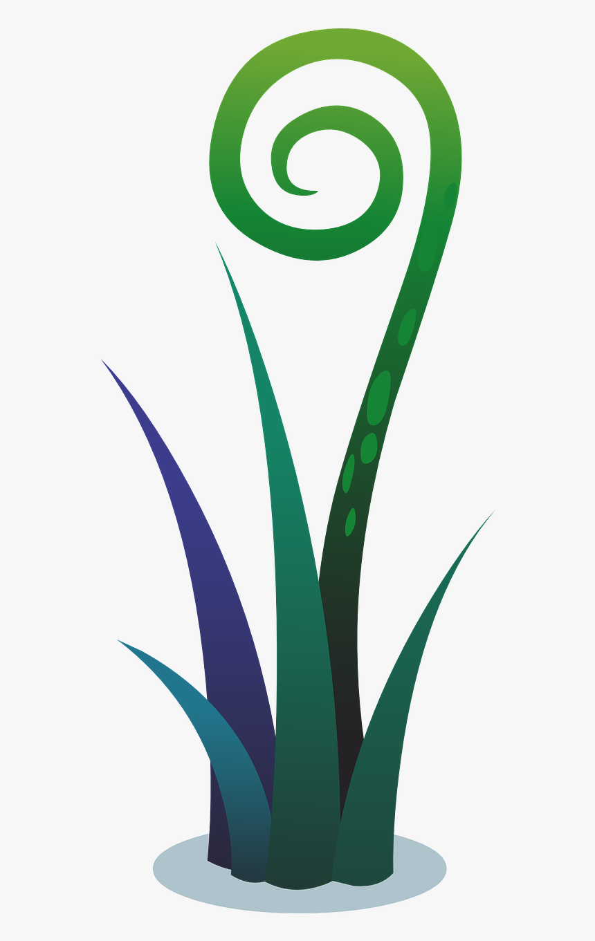 Plants Leaves Vines Free Picture - Plants, HD Png Download