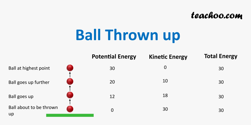 Ball Thrown Upwards - Beach Bum, HD Png Download