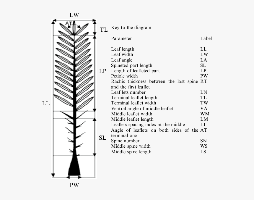 Document, HD Png Download