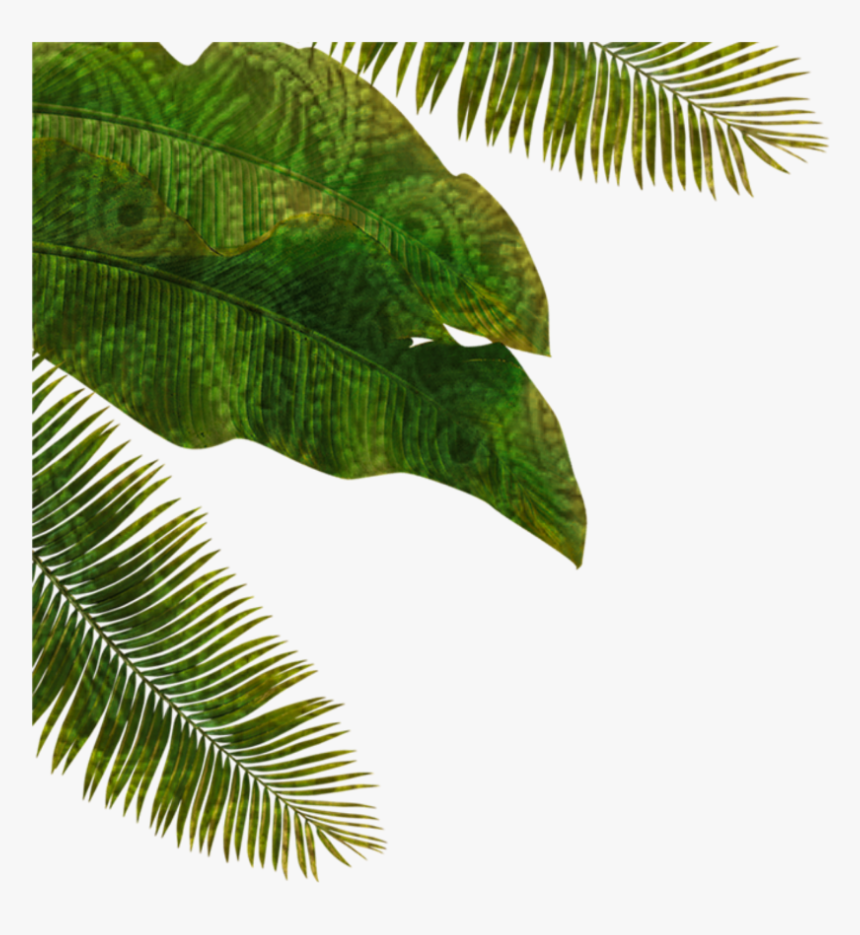 #palmtree #palm #leaves #fantasy #nature #green - Nature Fantasy Png, Transparent Png