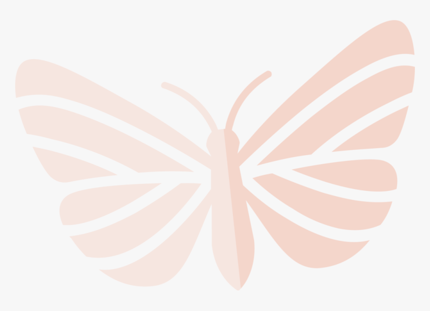 Butterfly, HD Png Download