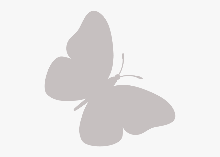 Butterfly, HD Png Download