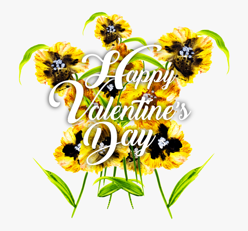 Sunflower, HD Png Download