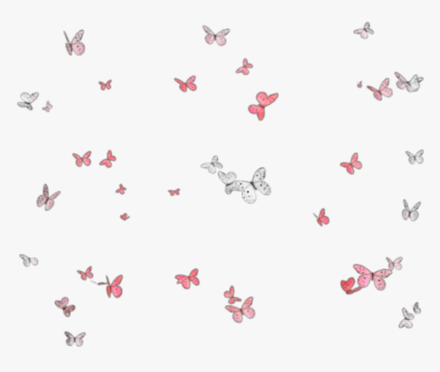#butterflies #mariposas #mariposa #butterfly #group - Love Unicorn, HD Png Download