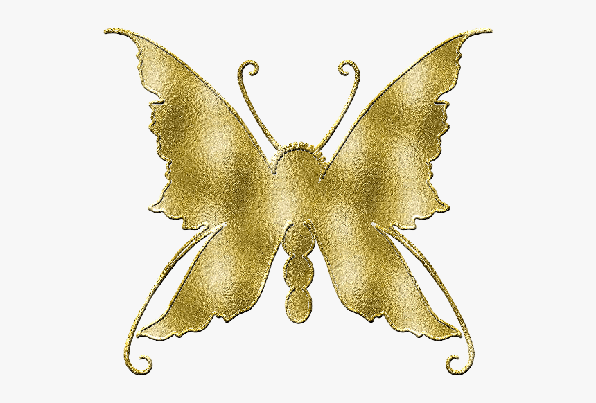Papilio, HD Png Download