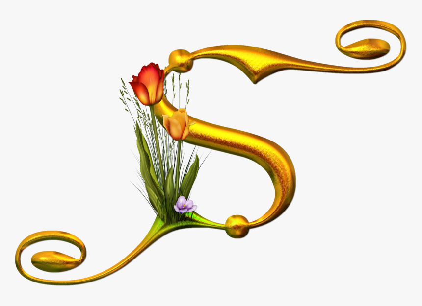 Bello Alfabeto Con Flores Y Mariposas - Bello Alfabeto Con Flores Y Mariposa S, HD Png Download