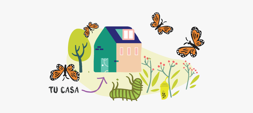 Mariposa-uno - Illustration, HD Png Download