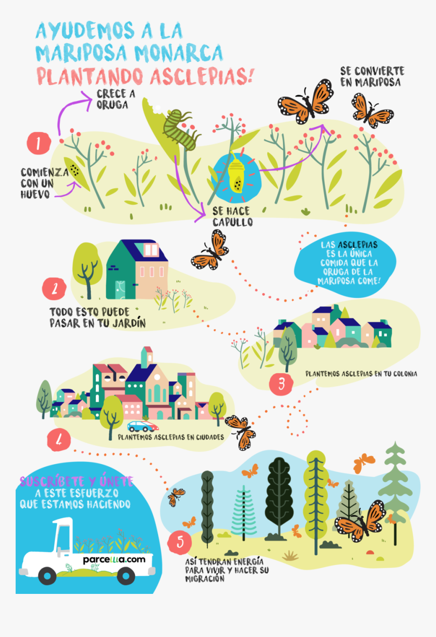 Monarca Mariposa, HD Png Download