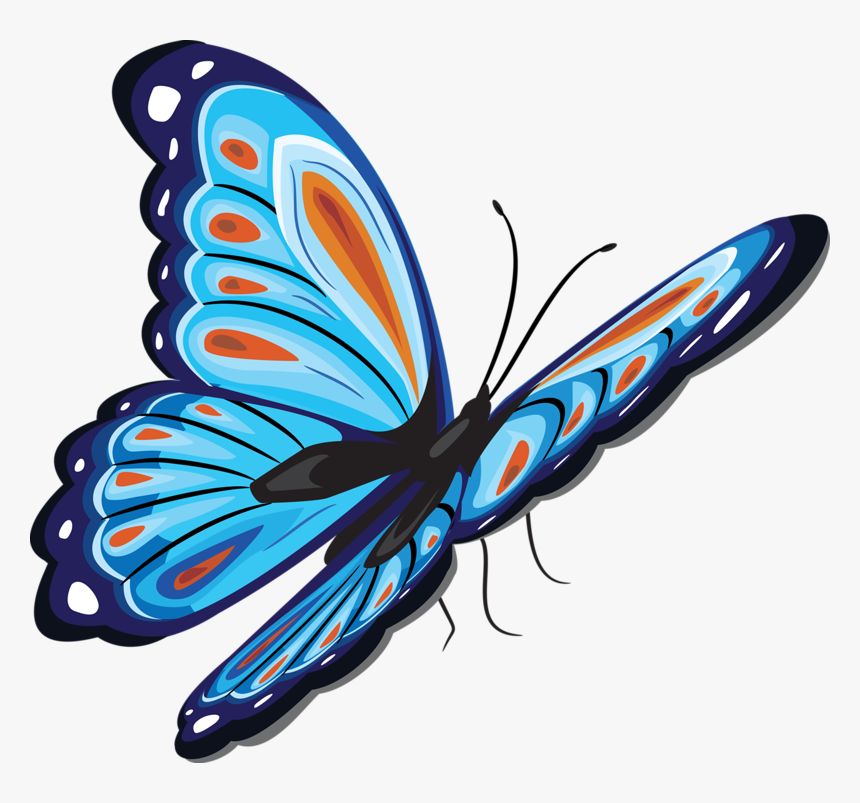 Papillon Png, Transparent Png