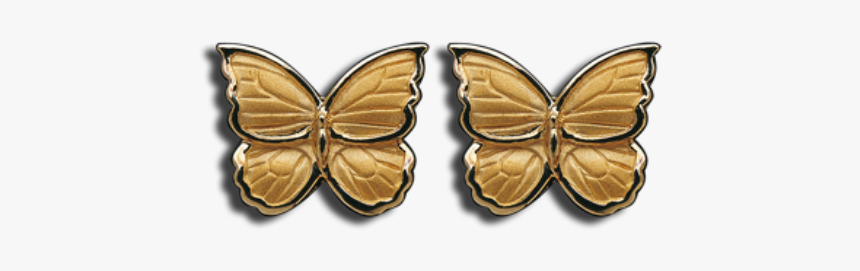 Carrera Y Carrera Baile De Mariposas - Brush-footed Butterfly, HD Png Download