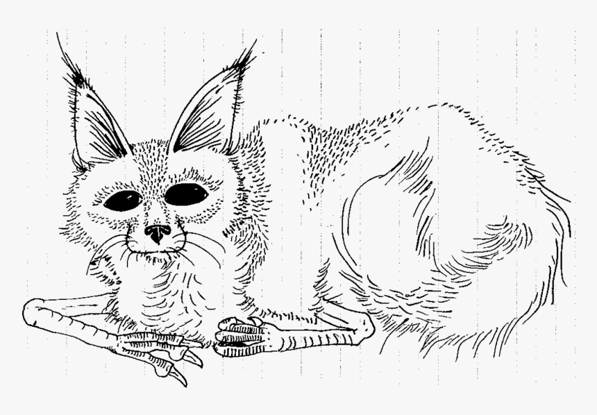 Download Where The Wild Things Are Coloring Pages - Sketch, HD Png Download