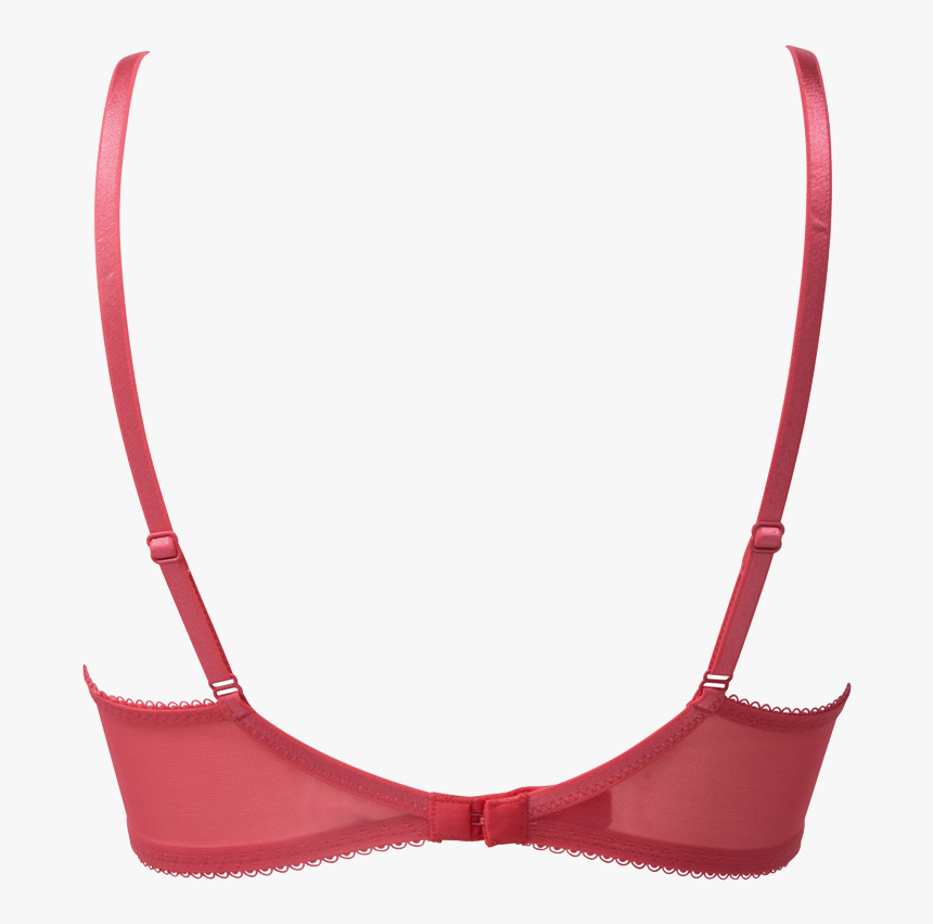 Back Of Bra Png, Transparent Png