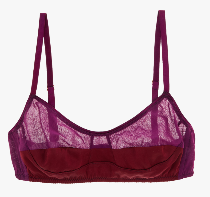 Hanging Bra Png , Png Download - Bra, Transparent Png