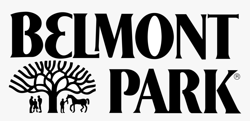 Palm Tree, HD Png Download