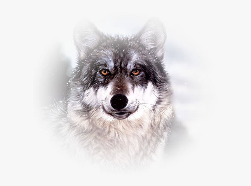 Wolf Face, HD Png Download