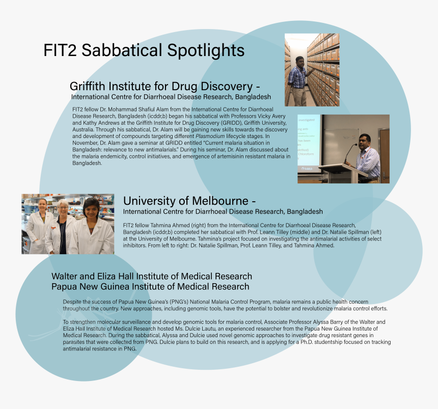 Brochure, HD Png Download