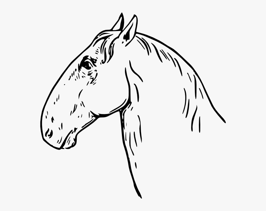 Ram Headed Horse Head Svg Clip Arts - La Cabeza Del Caballo, HD Png Download