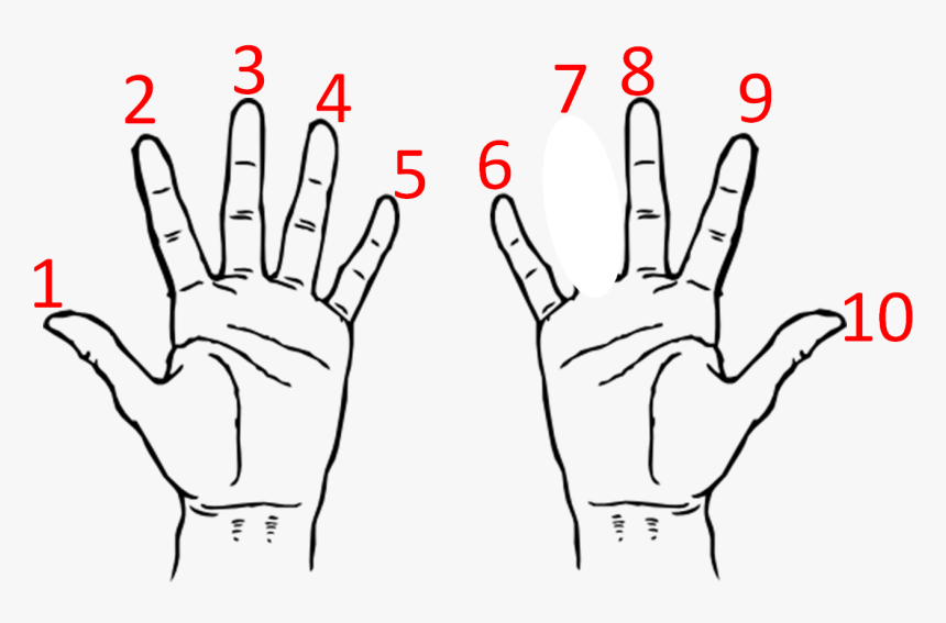 Hand Clip Art, HD Png Download