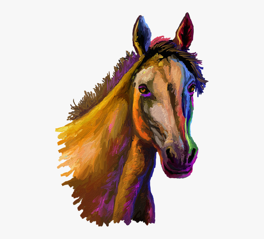 Sorrel, HD Png Download