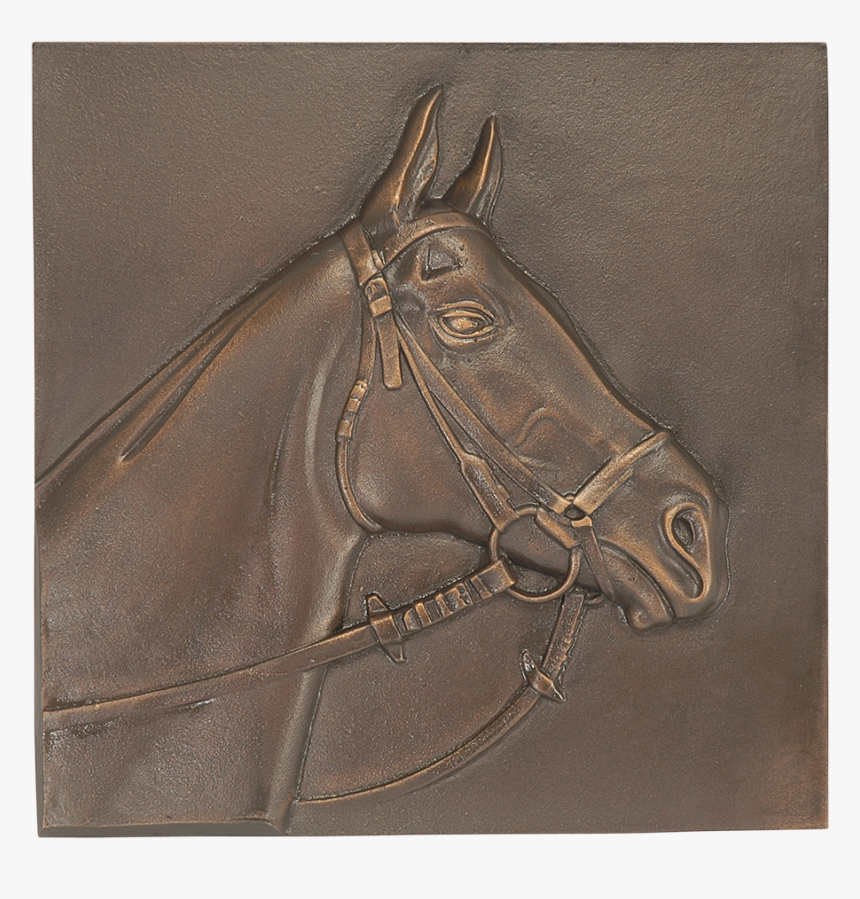 Stallion, HD Png Download