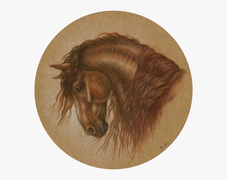 Graphite And Coloured Pencils With Touches Of Sepia - Stallion, HD Png Download