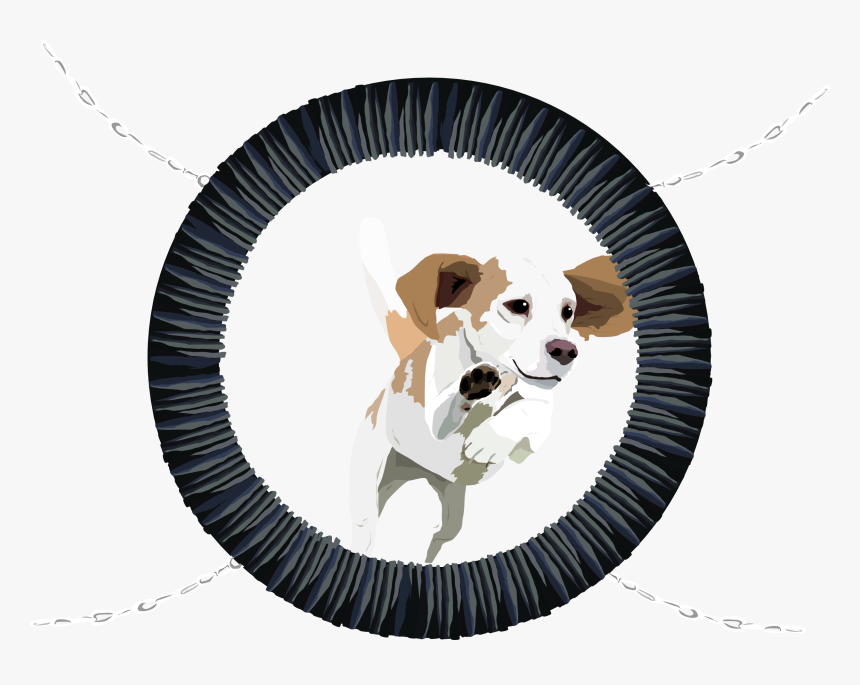 Harrier, HD Png Download