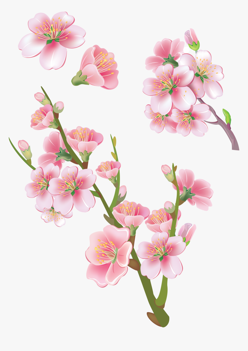 Sakura Png , Png Download - Flower Sakura Png, Transparent Png