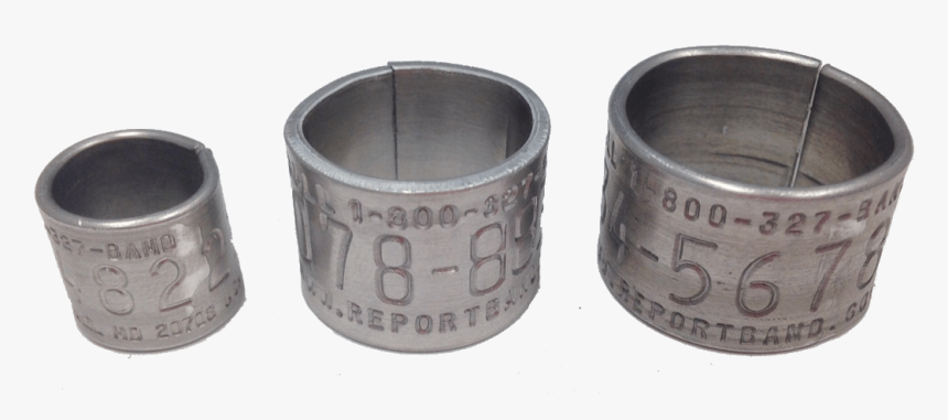 Metal Authentic Replica Bird Bands - Circle, HD Png Download