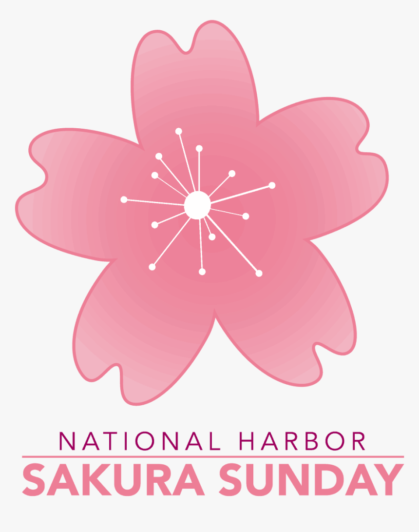 Graphic Design, HD Png Download