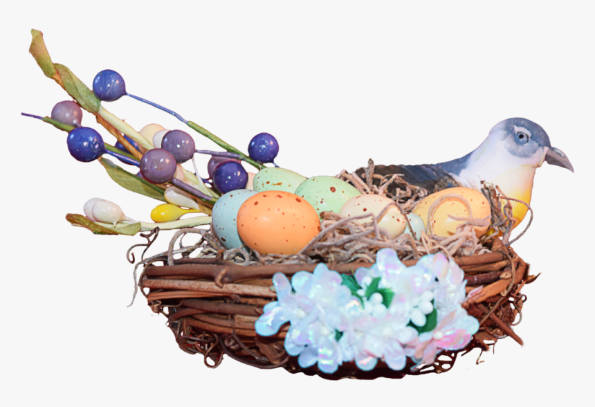 Download Nest Png Image - Portable Network Graphics, Transparent Png