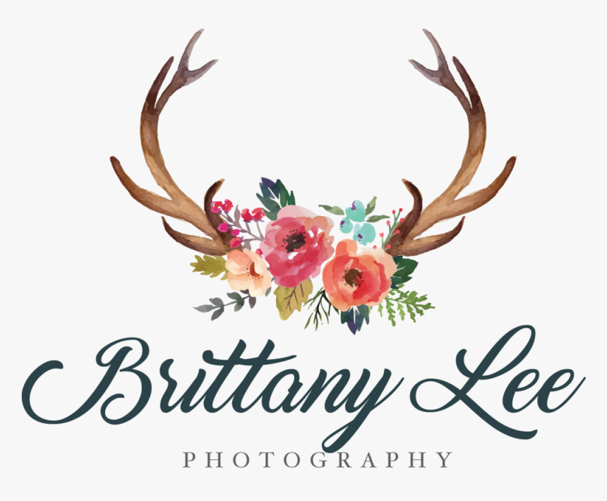 Antler Clipart Flower - Antlers And Flowers Clipart, HD Png Download