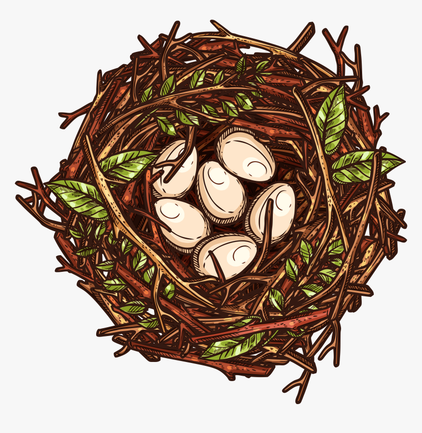 Nest Png, Transparent Png