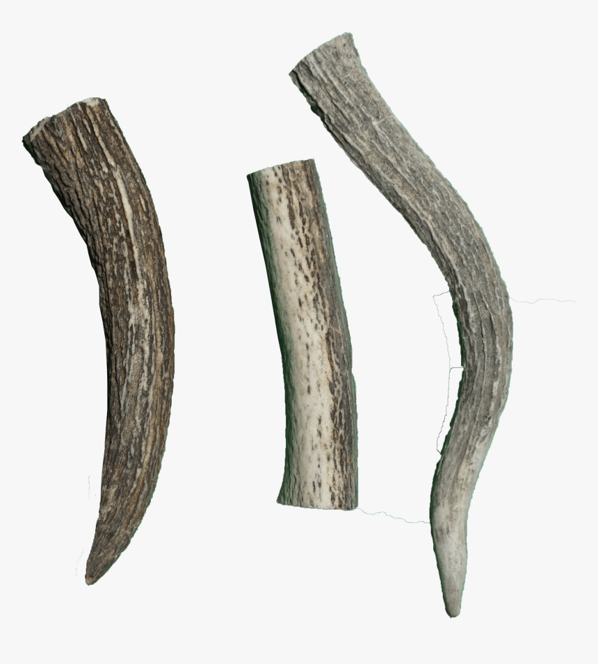 Wood, HD Png Download