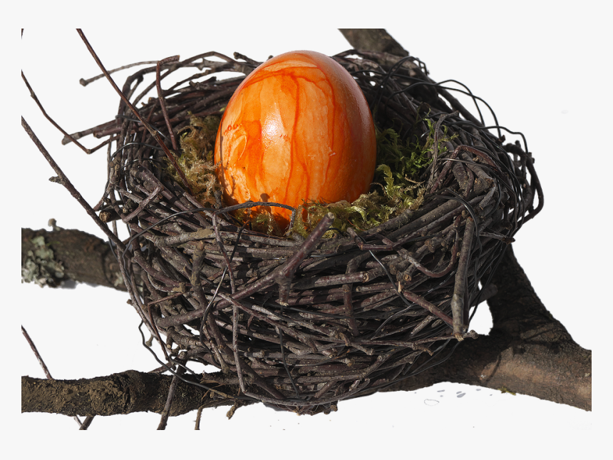 Bird S Nest, Nest, Easter Nest, Easter Decoration - Vogelnest Transparent, HD Png Download