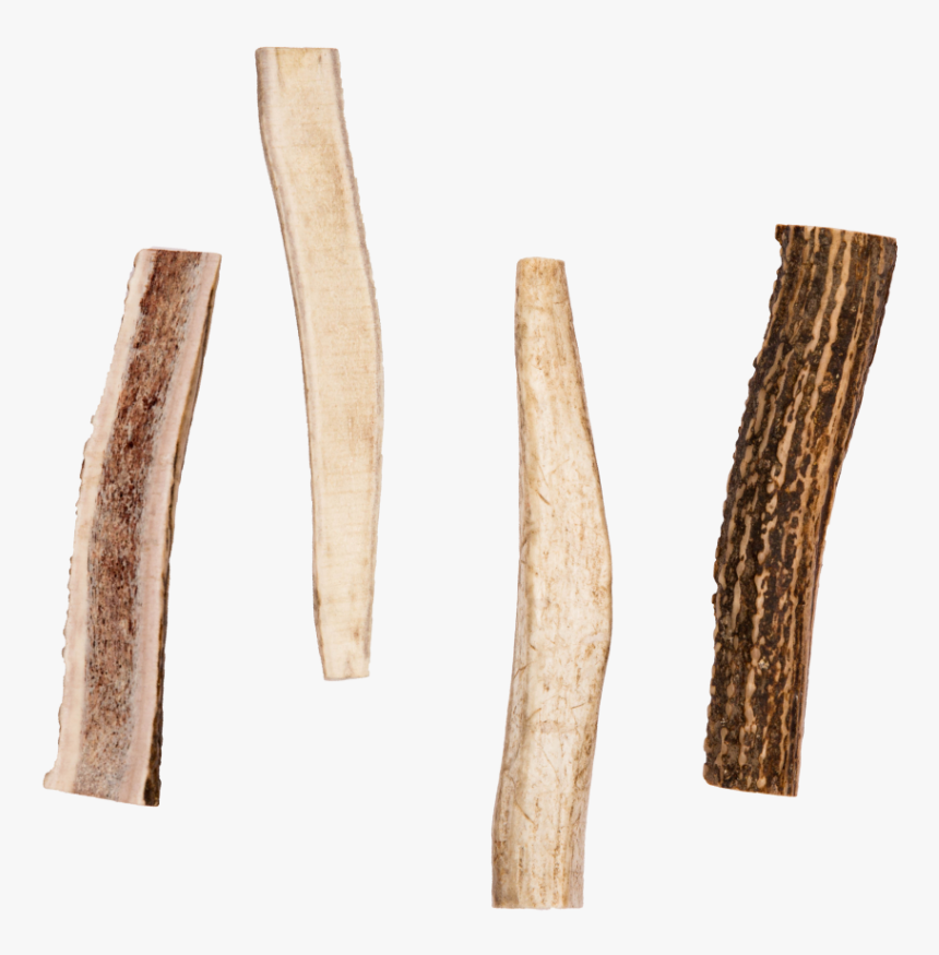 Split Elk Antler Chews For Dogs - Chewed Elk Antler, HD Png Download