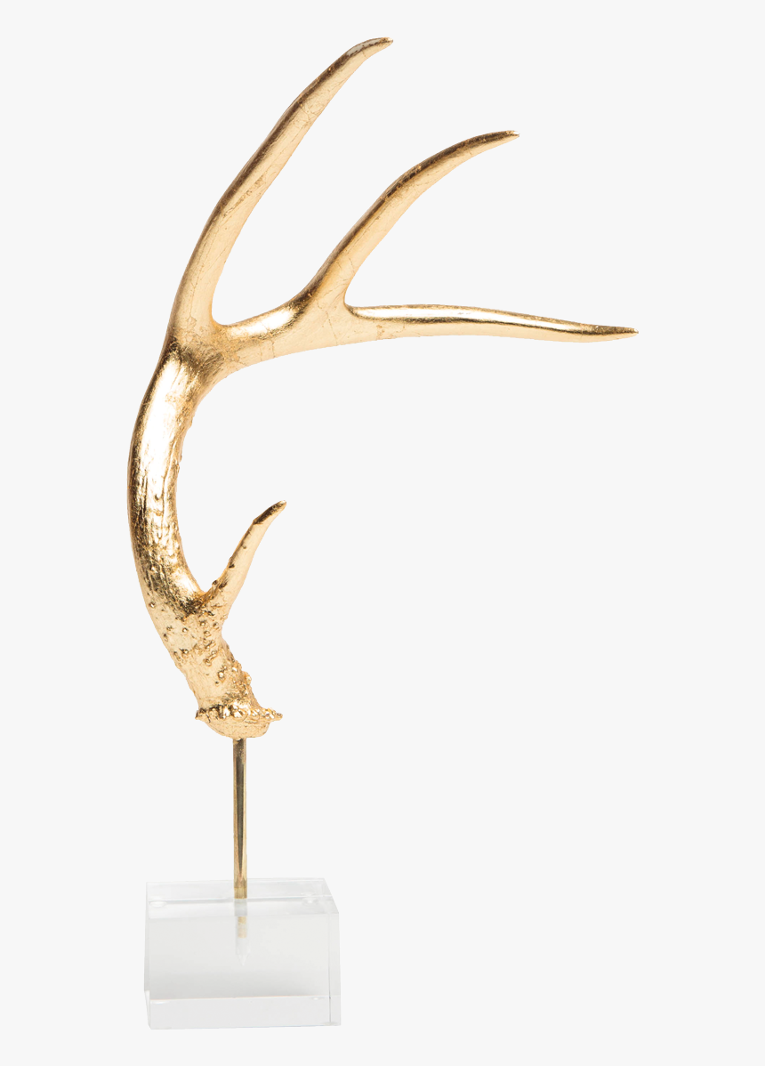 Acrylic Antler Mount - Wood, HD Png Download