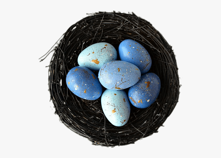 Decorative Nest With Blue Eggs - Egg, HD Png Download