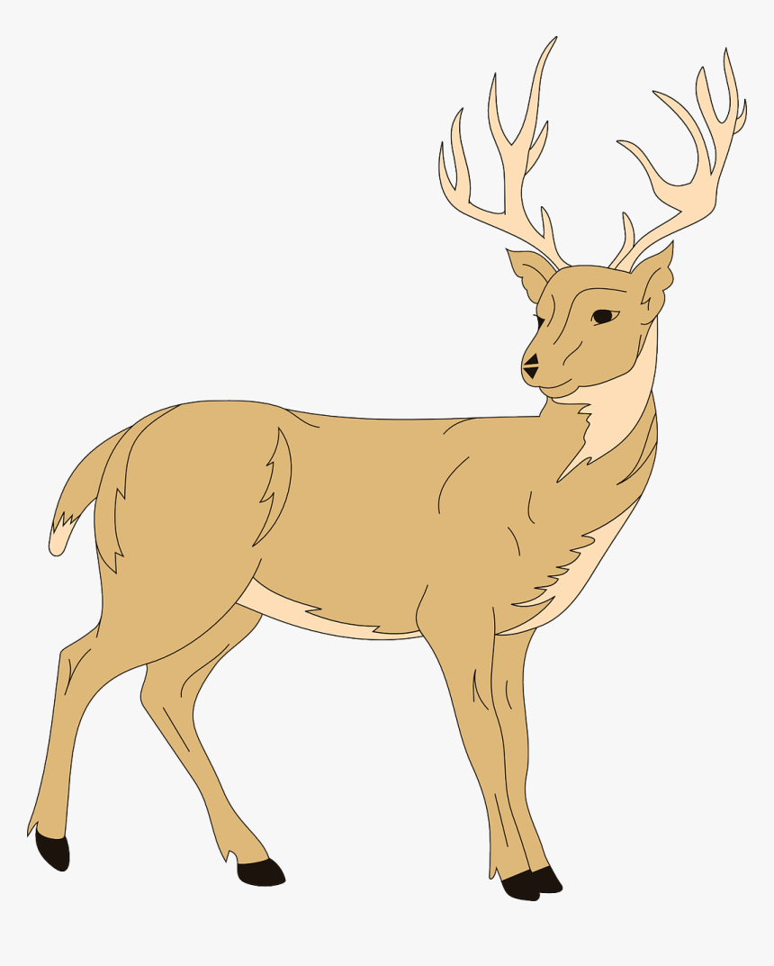 Deer Clipart, HD Png Download