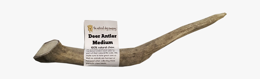 Antler, HD Png Download