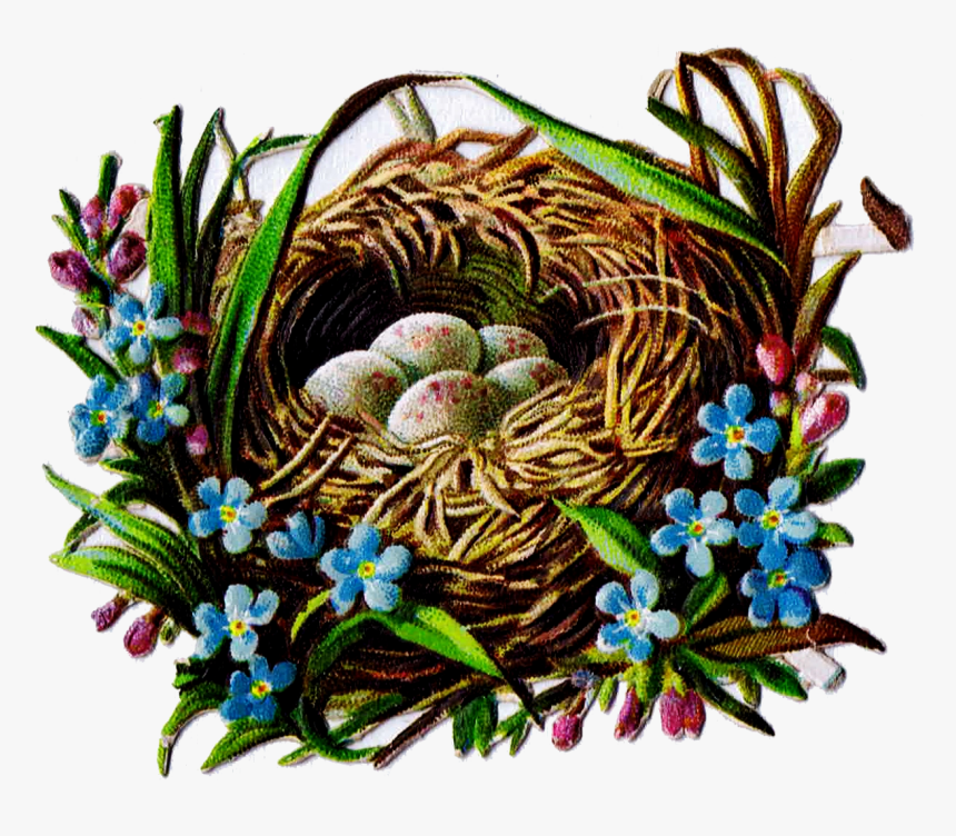 Bird Nest And Egg Graphics - Bird Nest, HD Png Download