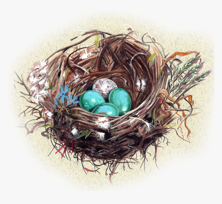 Nest, HD Png Download