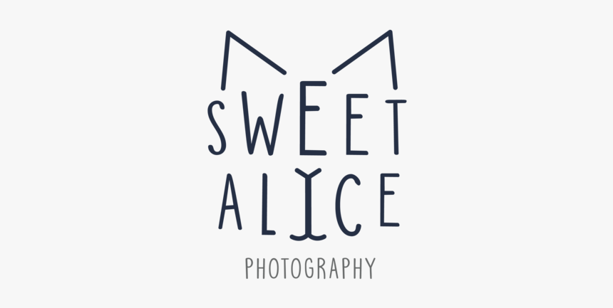 Photography Png, Transparent Png