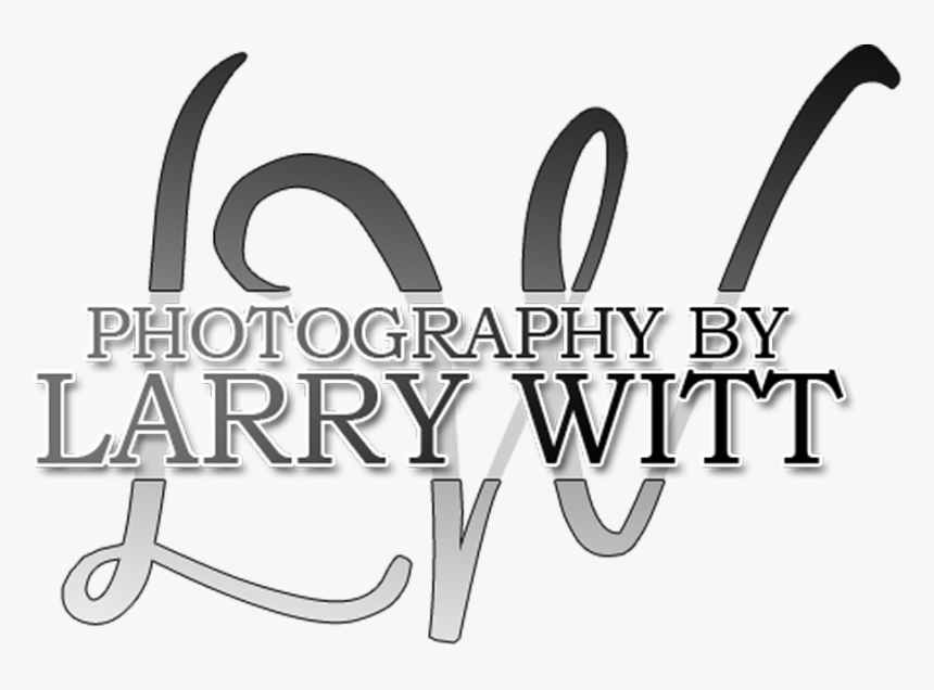 Promo-5 - Calligraphy, HD Png Download