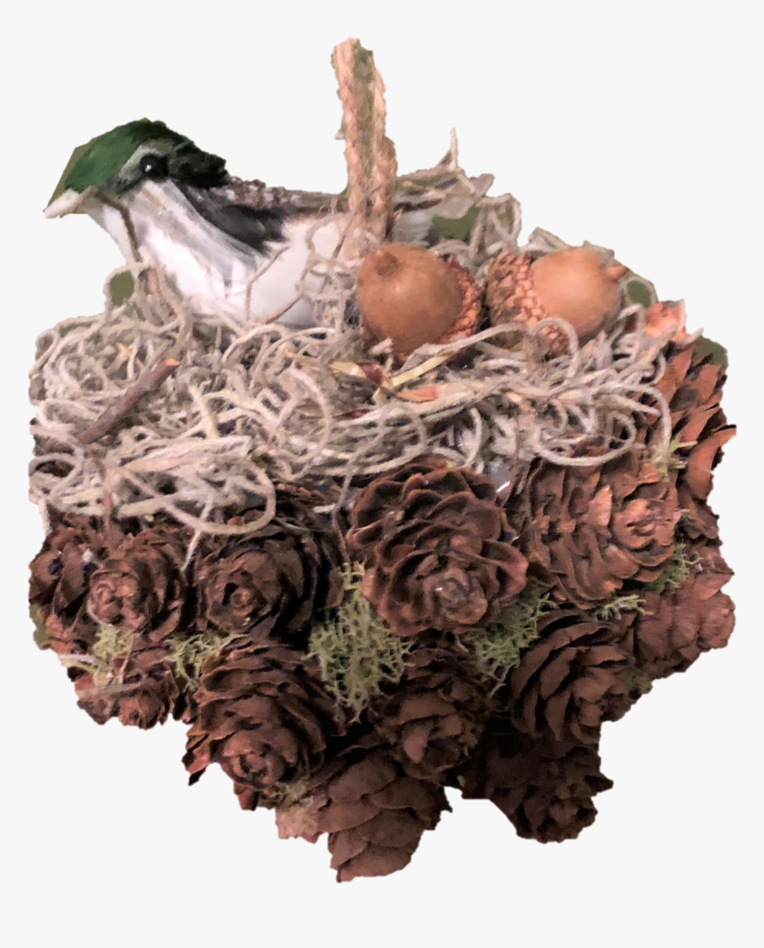 Transparent Bird Nest Png - Duck, Png Download