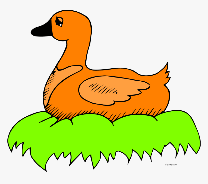 Orange Duck In Nest Clip Art Clipart Png - Duck On The Nest Clipart, Transparent Png