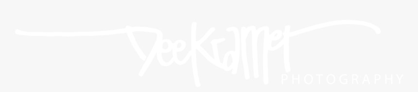 Zig Websoftware, HD Png Download