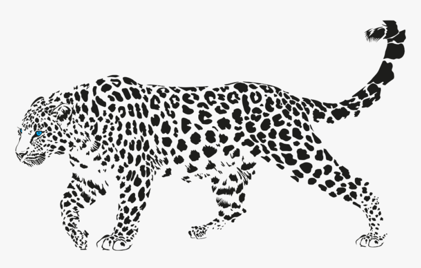 Jaguar Walking Png Pic - Jaguar Walking, Transparent Png