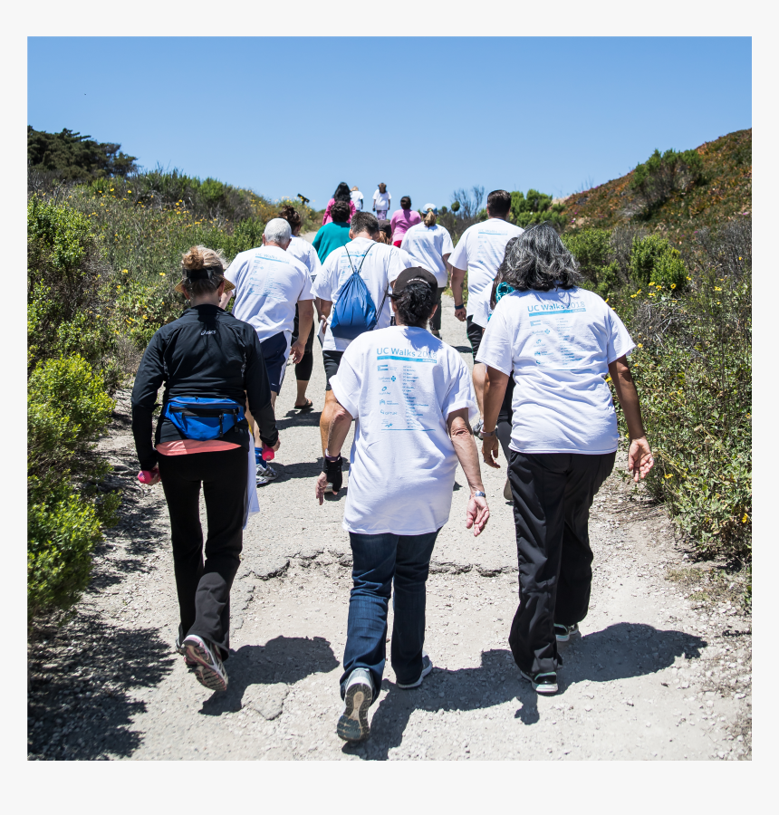 Img, HD Png Download