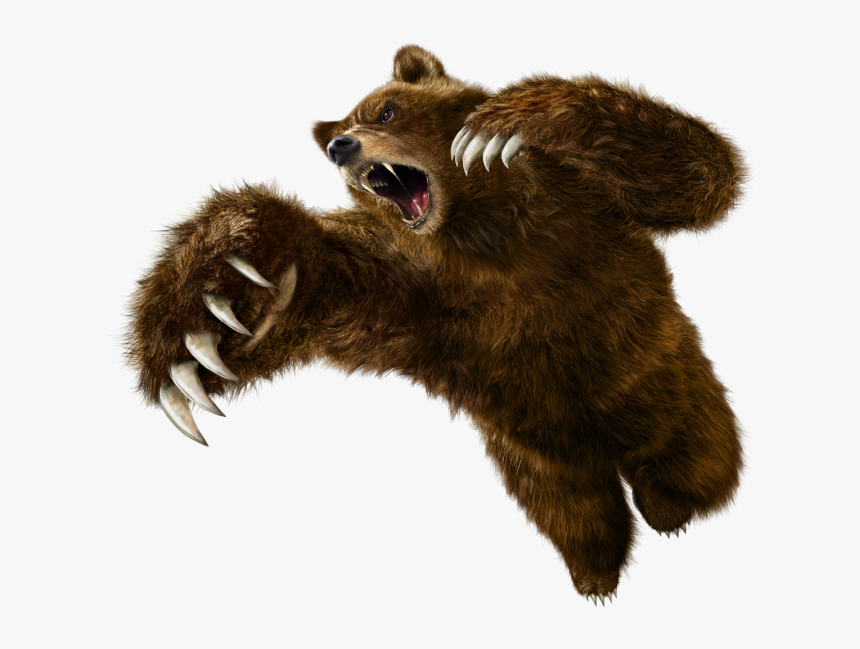 Grizzly Bear Png - Tekken 6 Kuma, Transparent Png