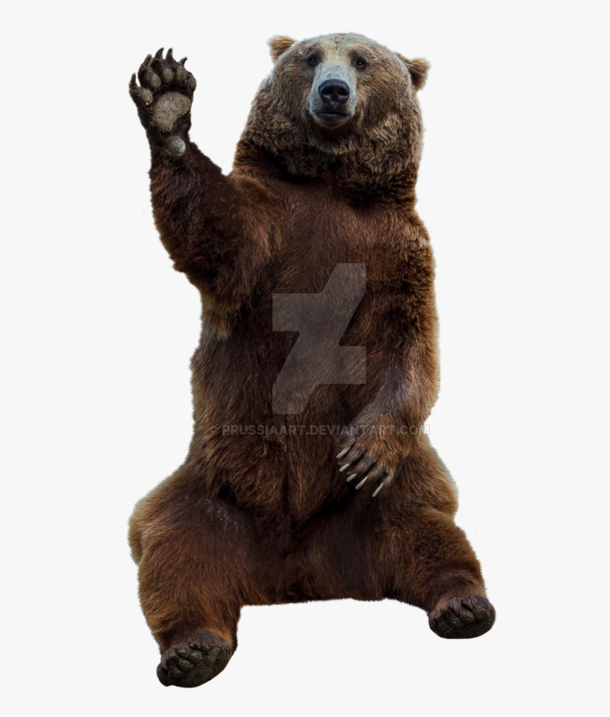 Grizzly-bear - Grizzly Bear Png Transparent, Png Download
